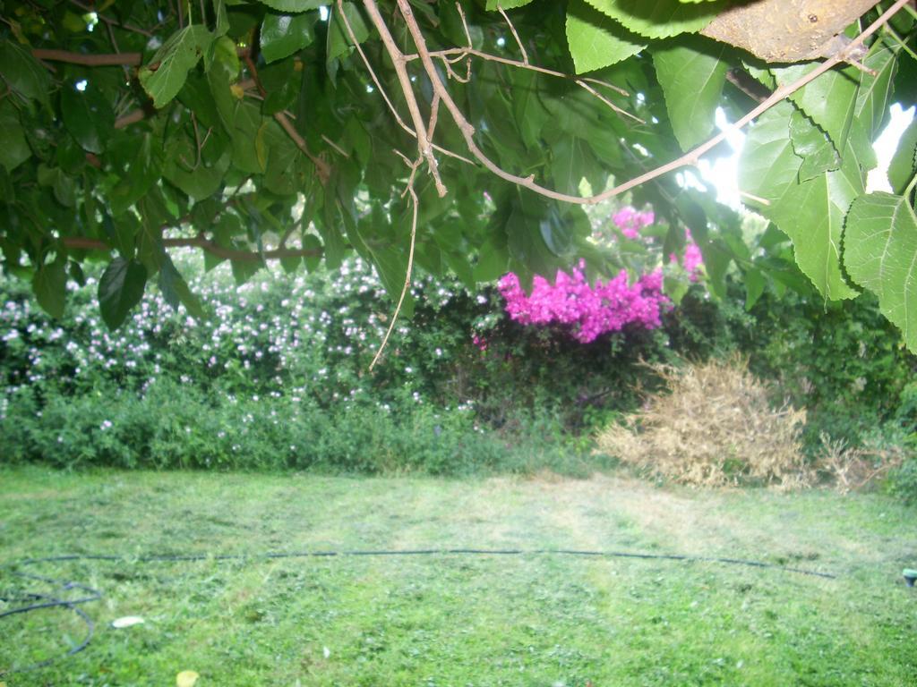 Patriko Country House Βόρι Εξωτερικό φωτογραφία